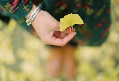 热文（陆廷枭江苒）在线阅读-（陆廷枭江苒）完整版免费阅读全文最新章节列表