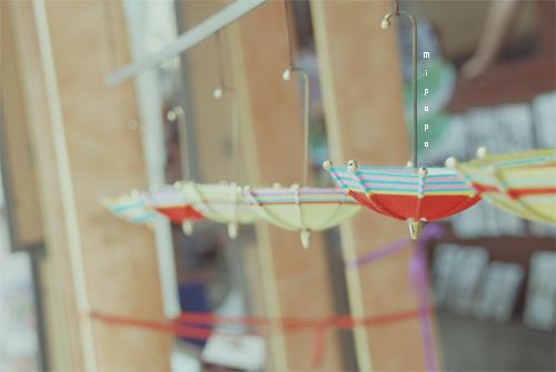 岑媗贺祁川免费阅读小说 岑媗贺祁川第14章