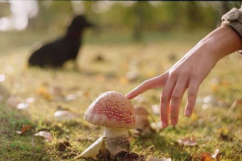 顾家少夫人组团跑路了最新更新 顾墨辰柠柠宋知柔顾云舟免费读