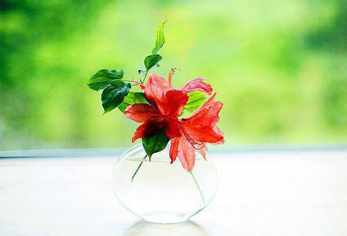 江昔贺州衡小说免费 江昔贺州衡第三章在线阅读