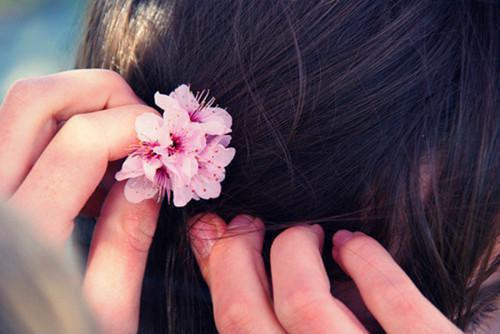 沈知薇苏寒御完整版 沈知薇苏寒御小说全文在线阅读