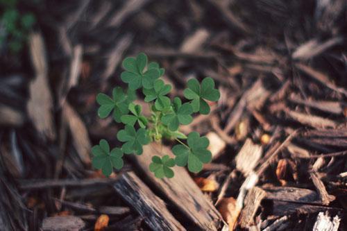 郑亮大结局在线阅读 男友不在家全本免费看