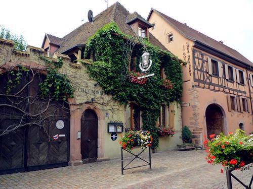 少昊陶鹊儿七仙女小说 前夫哥为哄七仙女，害死我母亲章节阅读