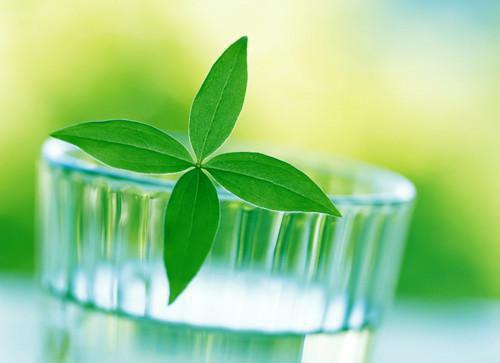 日日招惹，引乖戾少年甘愿臣服免费阅读 宋时微江见津小说无弹窗