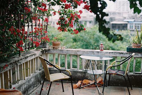 重生后，我要毁掉狠毒白月光王妍刘白纪芙无弹窗免费阅读