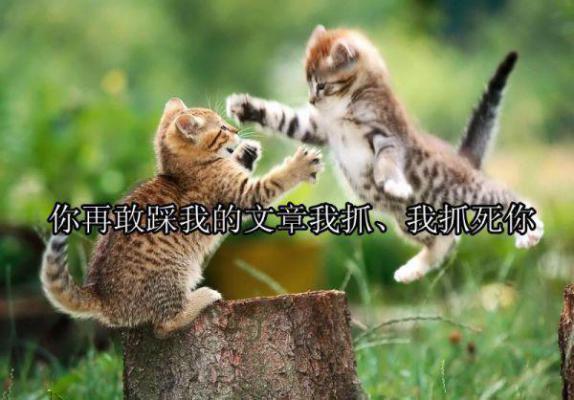 致命游戏(丽丽)无弹窗阅读