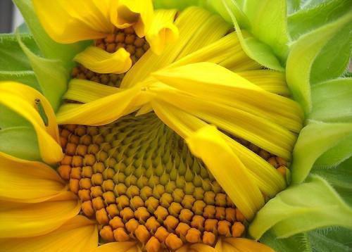 主角名是贺兰诀嘉嘉全文免费阅读正版