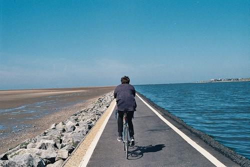 (完整版)杨尘李莫小说免费阅读无广告