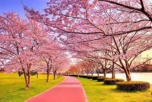 《邵茜和封云霆小说》无弹窗全文免费阅读