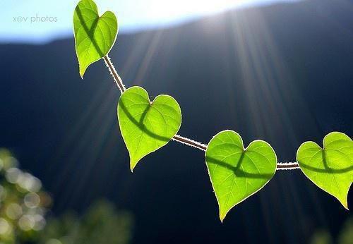 港圈太子爷装穷和我谈恋爱沈菀周京池章节目录免费看