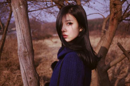 华不再扬陆宴洲沈远陆子朗沈宁章节目录免费看