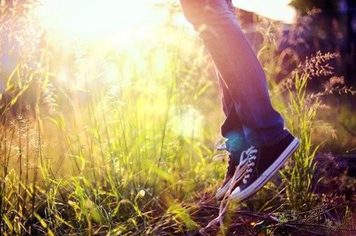 临川云筝青龙主角小说叫什么 重生归来，我与战神双向奔赴免费阅读全文