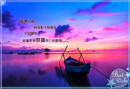 柳玥陆政渊全文最新章节正版小说免费阅读