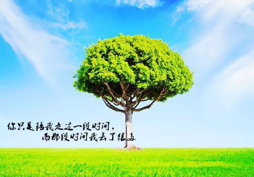 听我心声后，残疾大佬宠麻了（萧墨寒贺夕颜）小说全文免费阅读无弹窗大结局_（萧墨寒贺夕颜）听我心声后，残疾大佬宠麻了最新章节列表