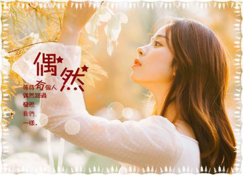 (抖音小说)张红小说全文阅读免费