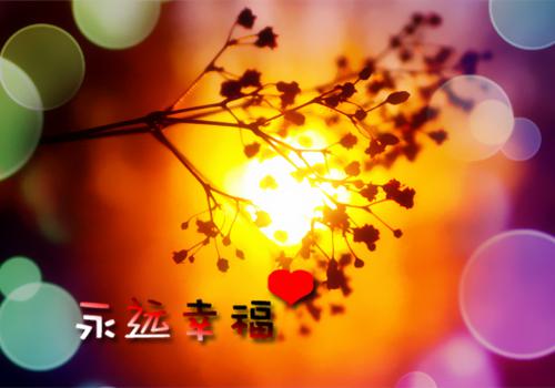 叶溪厉祁安（厉祁安叶溪）小说免费阅读无弹窗完整版_（厉祁安叶溪）叶溪厉祁安最新章节列表