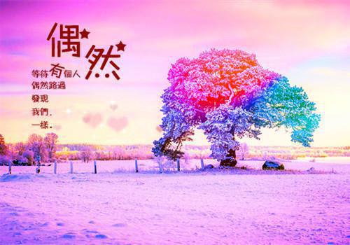 主角是宋宜傅璟宴的小说免费阅读全文大结局