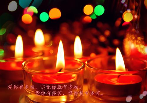 绿野悠悠全文免费阅读 程驰精彩章节未删减版