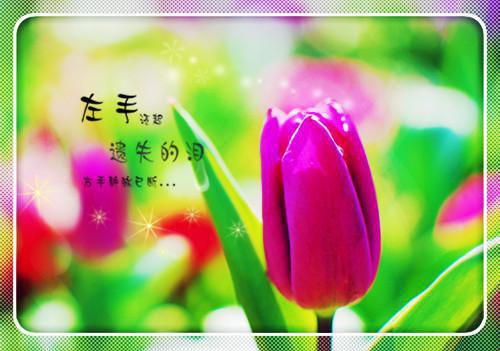 卓云珺齐彦舟完整版 卓云珺齐彦舟小说全文在线阅读