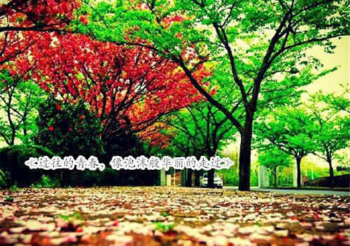 许昭萧暮全文阅读 许昭萧暮小说最新章节