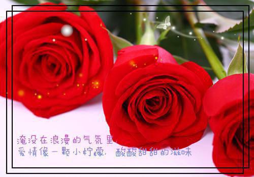 (抖音小说)沈赟笙笙小说全文阅读免费