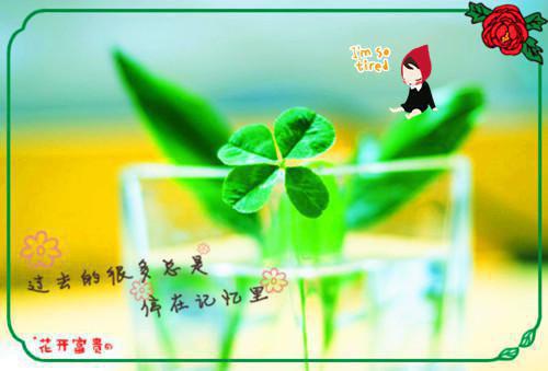 (抖音小说)秦圆张晓娟小说全文阅读免费