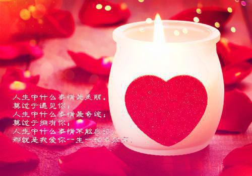 照月苍梧琼华小说免费 照月苍梧琼华在线阅读