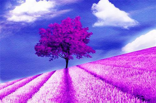 主角名是林尤歌陆昶***丹全文免费阅读正版