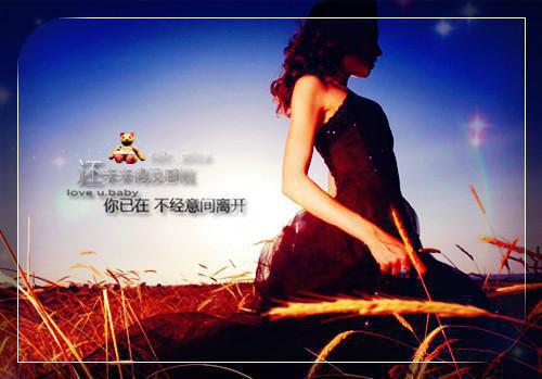 江明月席慕蓉霍思淼小说章节目录 江明月席慕蓉霍思淼免费阅读第一章