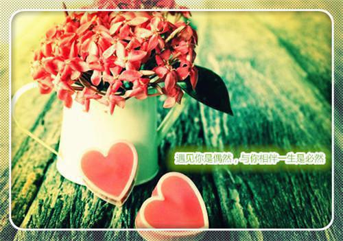 叶薄欢苏执（叶薄欢苏执）全文免费阅读无弹窗大结局_叶薄欢苏执最新章节列表（叶薄欢苏执）