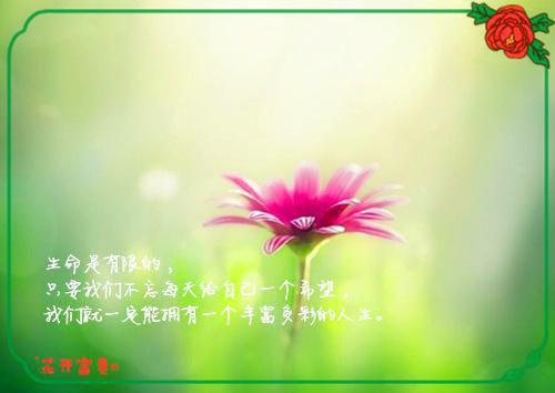 宋然李婉婉路凯是哪部小说的主角 宋然李婉婉路凯全文阅读