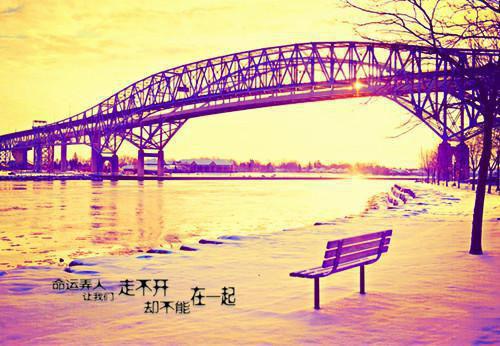 官途之逆流赵倩余闲无弹窗免费阅读