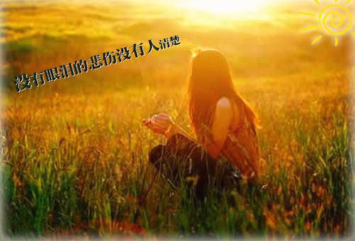 (抖音小说)林清初霍沢小说全文阅读免费