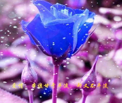 童雅欣姚承启小说大结局(童雅欣姚承启)完本阅读