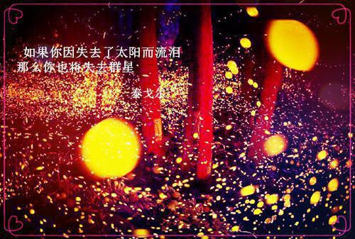 姜眠眠司祁白小说 姜眠眠司祁白免费章节阅读