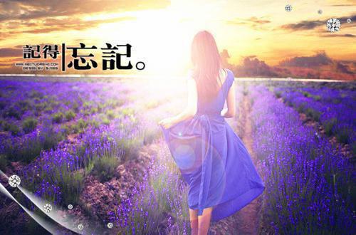 顾飞霜风慕白小说叫什么名字 顾飞霜风慕白全文免费阅读