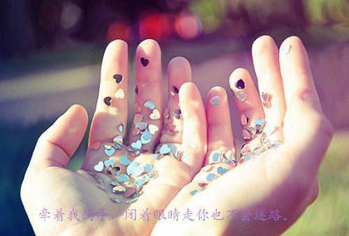 主角是许南霜温时寒的小说免费阅读全文大结局