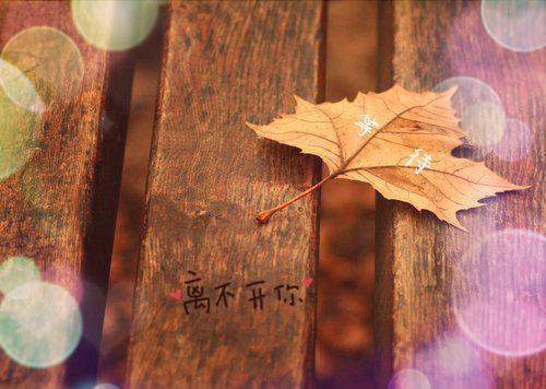 快穿：氪金大佬不想赢只撩NPC黎雾顾潇章节目录免费看