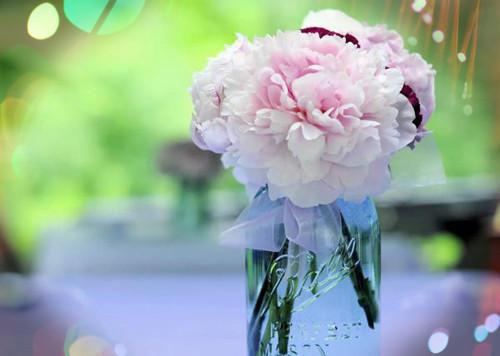 婆婆车祸，丈夫和白月光密室幽会免费读全文 顾淮安苏岩心小说无弹窗