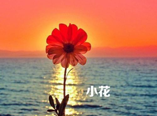 辛云娘段墨小说 辛云娘段墨免费全文阅读