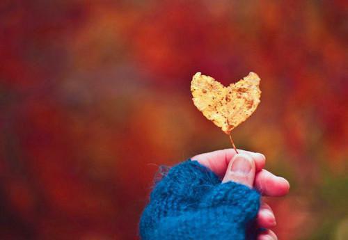 谢清川商奴小说名字 岁岁年年待君归章节试读