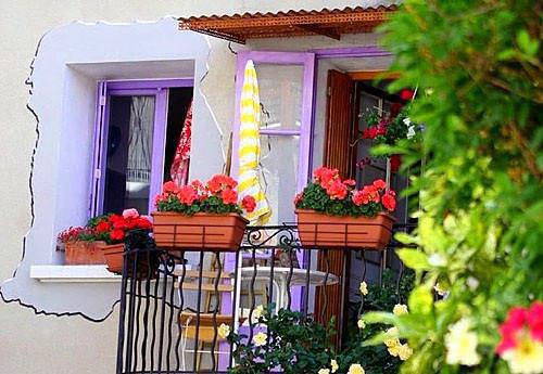 发疯后我成了娱乐圈团宠最新更新 苏悦温棠免费读