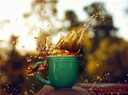 舒意陆沉景小说在哪里看 舒意陆沉景在线阅读第1章