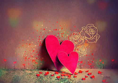 陈风是啥小说 陈风免费阅读无广告