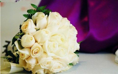 墨语兮凤玉菊笑全文免费 墨语兮凤玉菊笑在线阅读