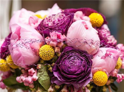 沈甘棠秋禾小说最后结局 沈甘棠秋禾完结版免费阅读