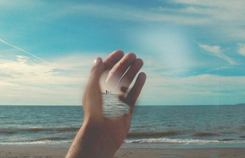 陆裴姜婉婉什么小说 陆裴姜婉婉全文免费阅读