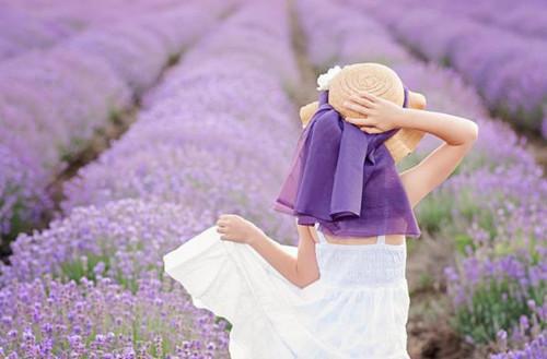 夏兰青霍淮烨全文+后续（夏兰青霍淮烨）全文免费阅读无弹窗大结局_（夏兰青霍淮烨全文+后续）夏兰青霍淮烨免费阅读无弹窗最新章节列表（夏兰青霍淮烨全文+后续）