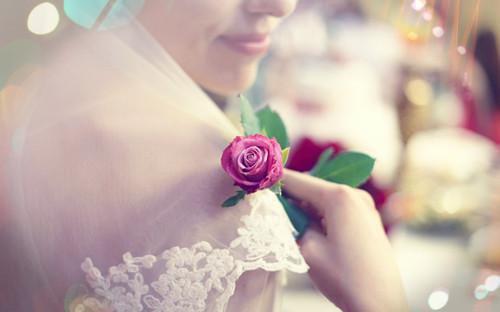 徐钊杨茹雪免费全文无弹窗 被穿越女当外室后，长公主杀疯了小说在线阅读