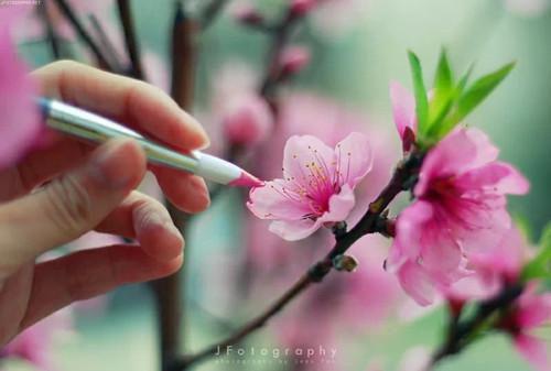 罗桂芬阮仙仙免费阅读小说 罗桂芬阮仙仙第2章